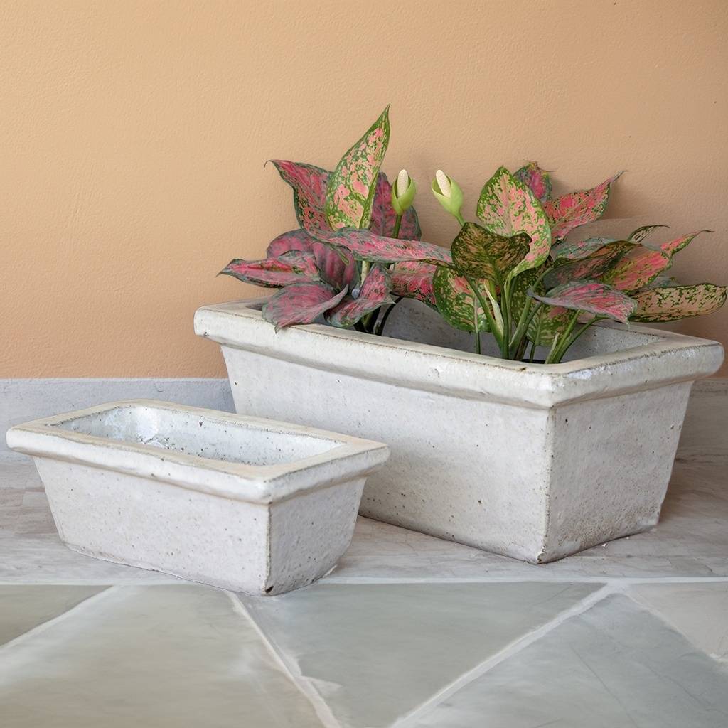 Bulk Classic white rectangular planter featuring a clean, tapered profile for a sleek and modern design