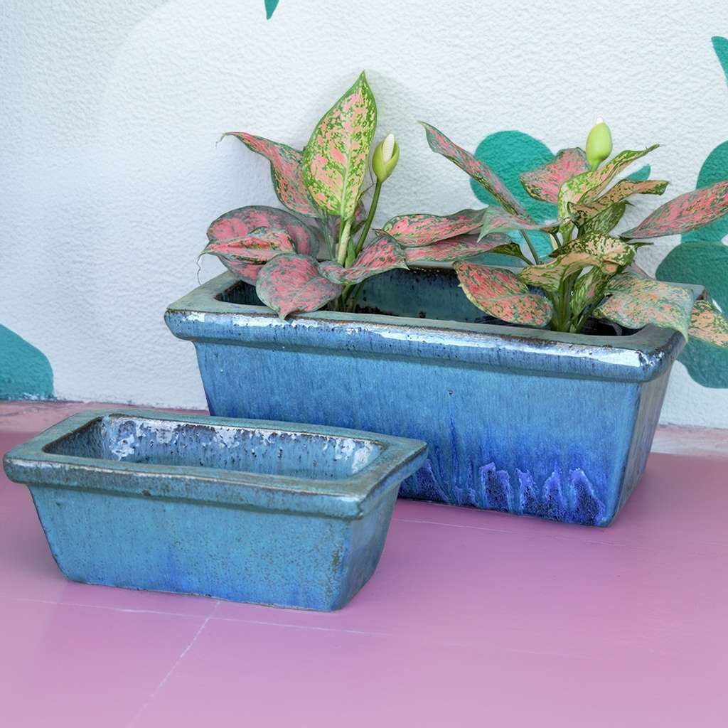 Glossy blue rectangular planter with a clean, tapered profile