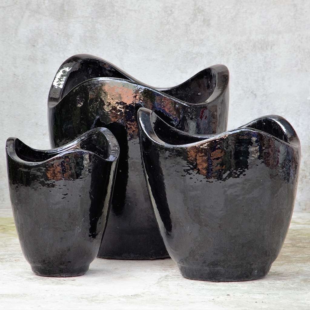 Glossy black ceramic planter with a distinctive wave-shaped top