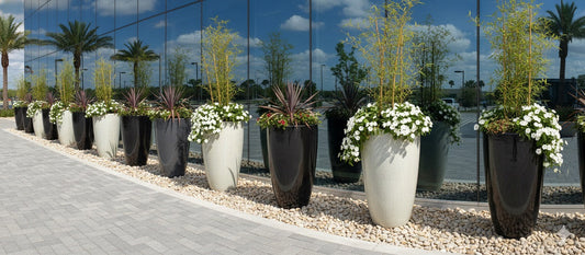 Tall ceramic planters with white and dark finishes hold lush greenery and white flowers along a modern building.