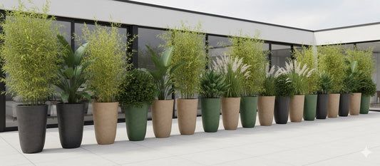 Tall ceramic planters with a variety of tall plants create a lush privacy screen on a modern patio.