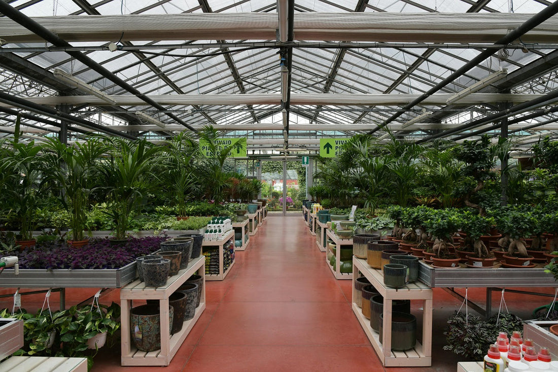A wide view inside a large, bright greenhouse with a glass ceiling, filled with rows of diverse plants and pots.
