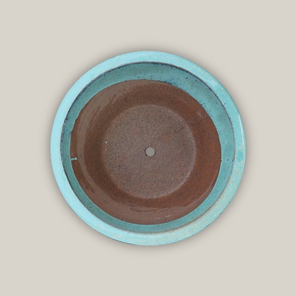 Top view of cone-shaped ceramic low bowl planters with wide rims in a vibrant teal glaze