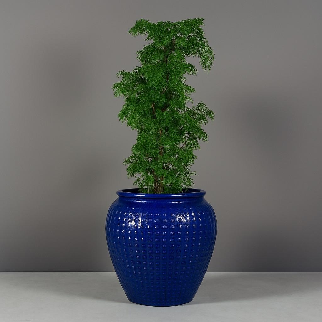 8171 Checkered Egg Pot - 1 Piece