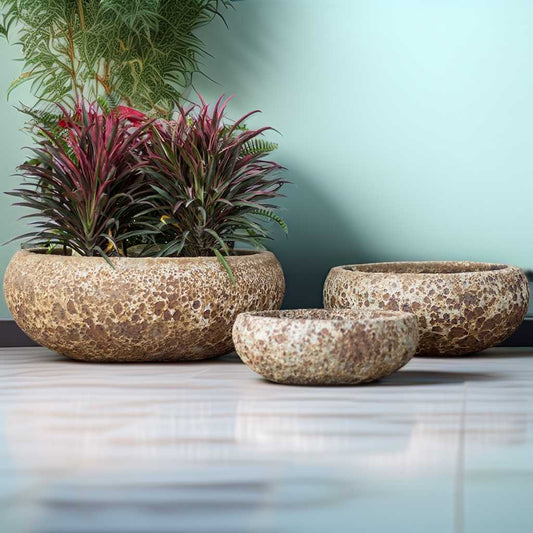 8365 Low Bowl Planter - Set of 3