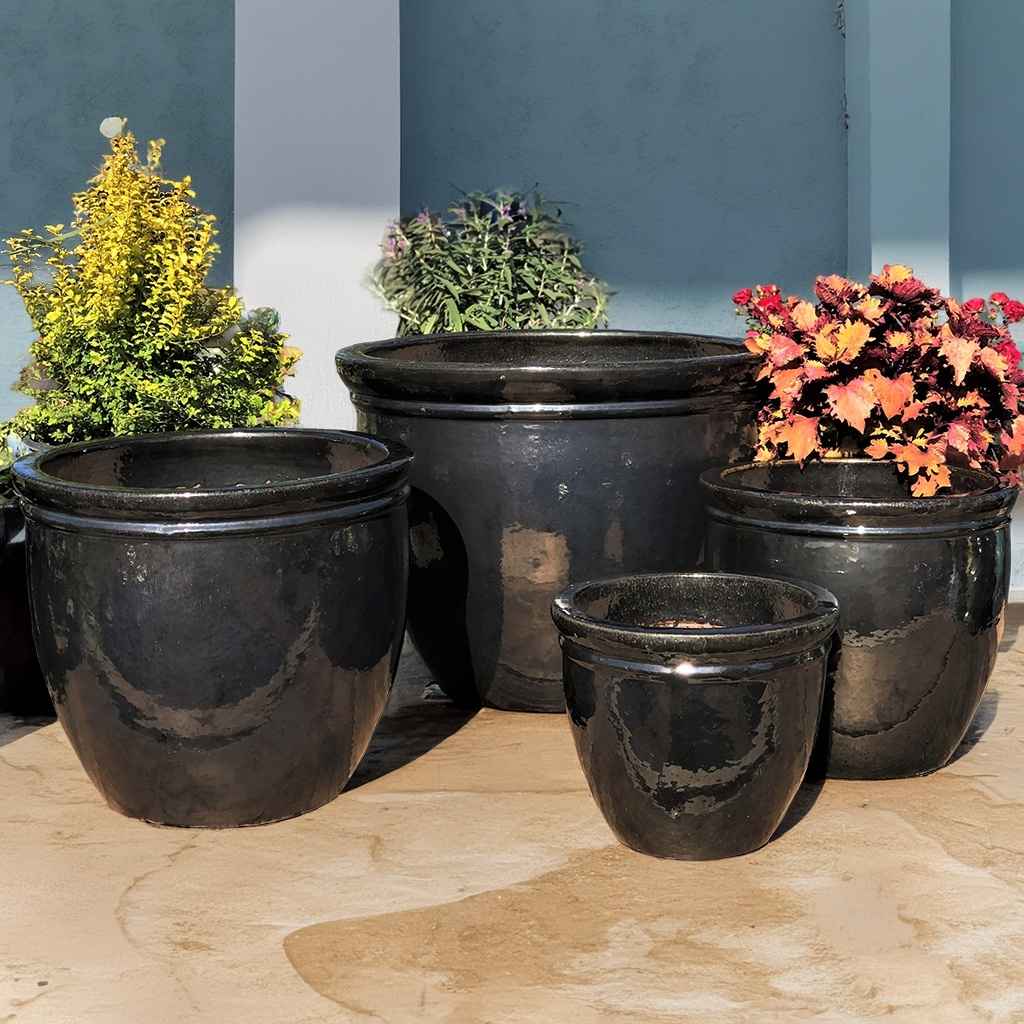 Classic rounded ceramic planter with a sleek, glossy black finish