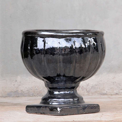 Round pedestal pot with a sleek, glossy black finish for a modern and elegant touch