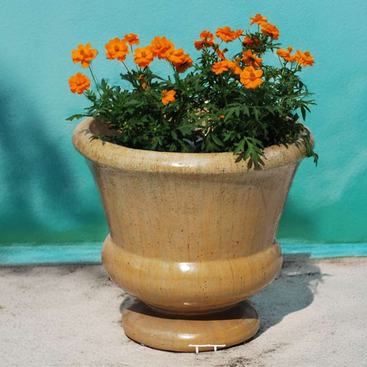 8632 Pedestal Rim Planter