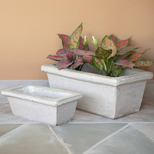 Bulk Classic white rectangular planter featuring a clean, tapered profile for a sleek and modern design