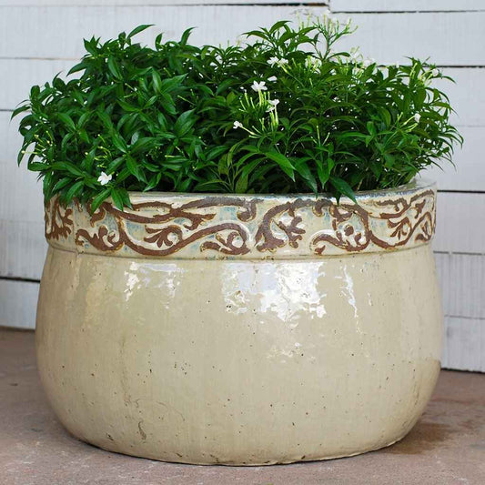 8886 Scrolled Rim Planter