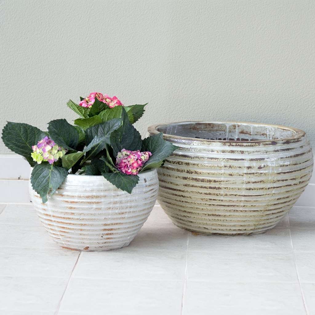 Ribbed bowl ceramic planters in whitewashed finish