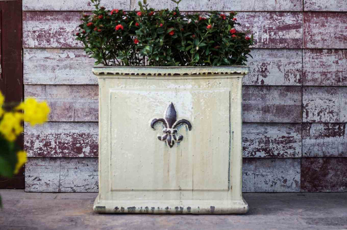 Cream square ceramic box planter with fleur-de-lis emblem, planted with red flowers, against a weathered wood wall.