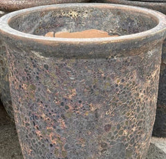 Rainforest Soil