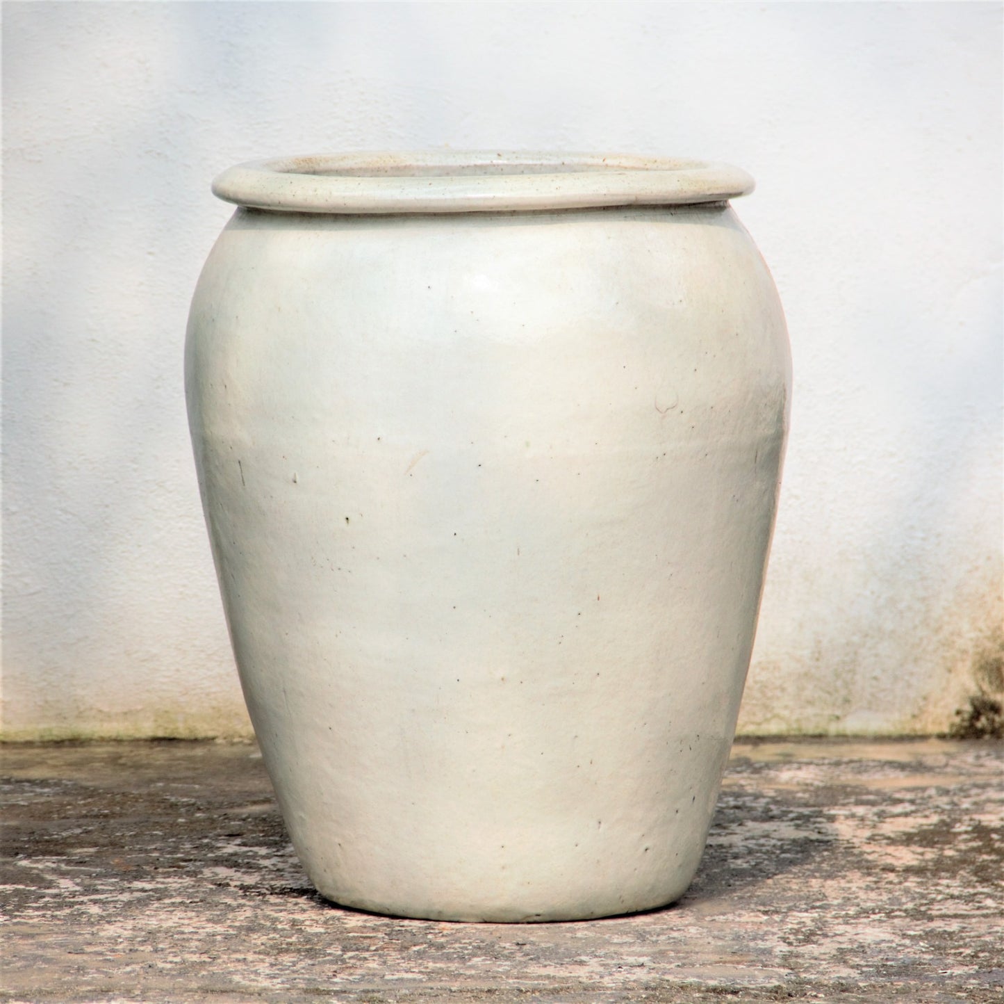 White Large Egg-Shaped Planter